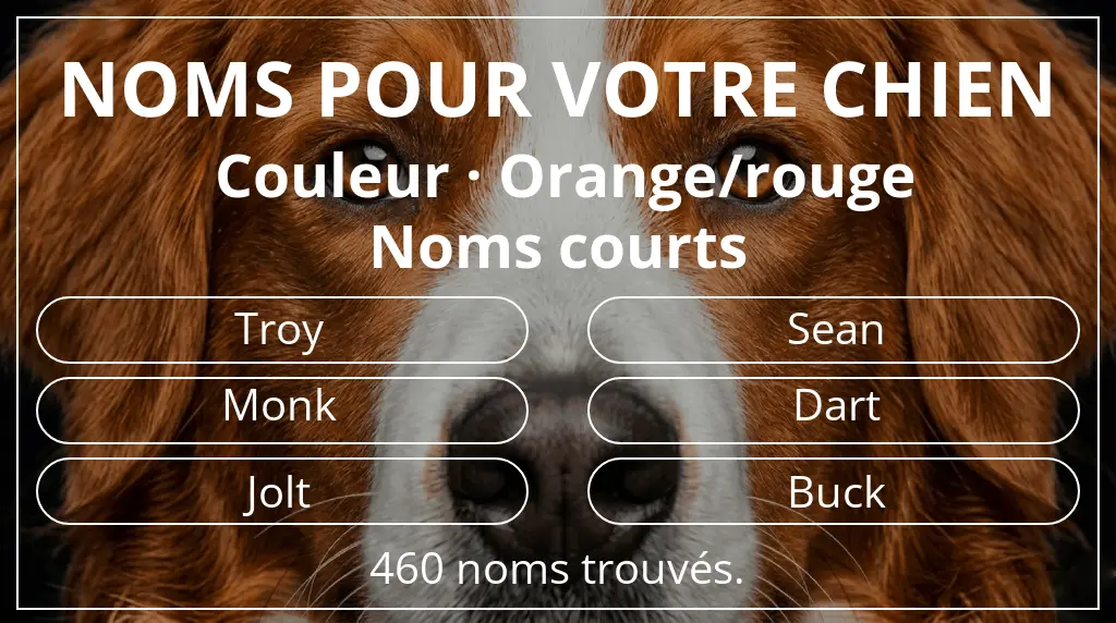 Noms de chiens basés sur couleur orange/rouge et longueur du nom court (2 à 4)