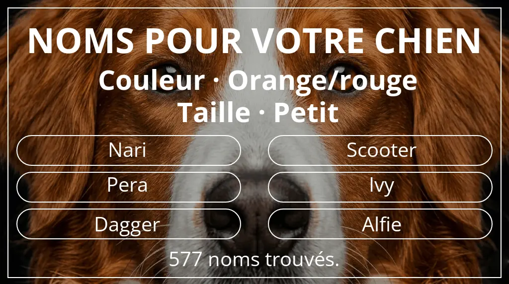 Noms pour chiens inspirés de couleur orange/rouge et taille petit