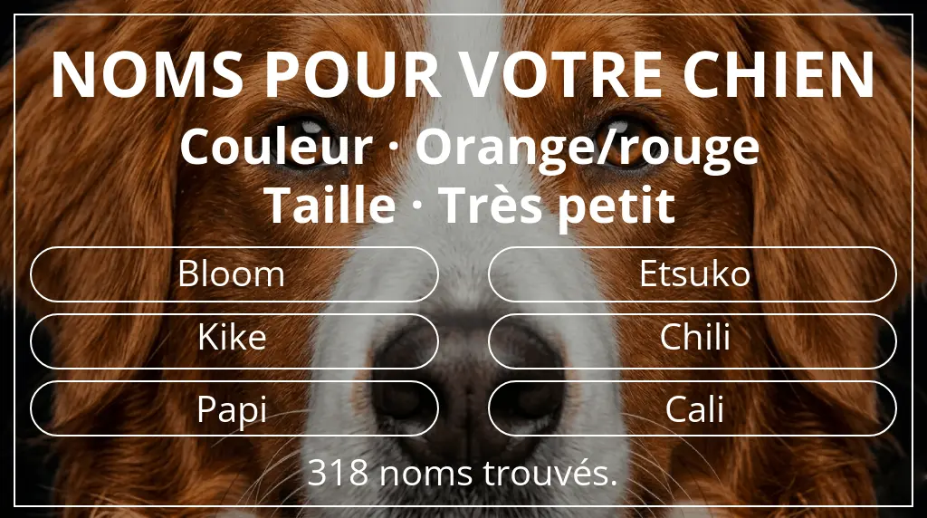 Noms de chiens inspirés de couleur orange/rouge et taille très petit