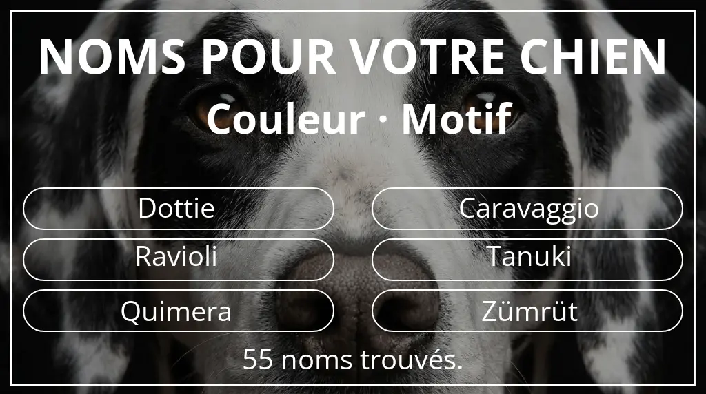 Noms pour chiens inspirés de couleur motif