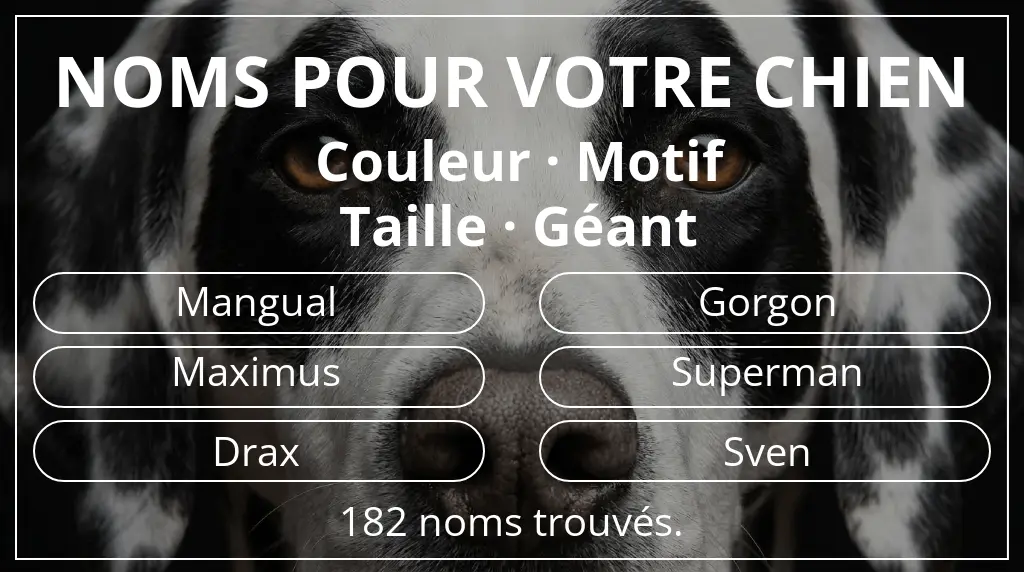 Noms pour chiens inspirés de couleur motif et taille géant
