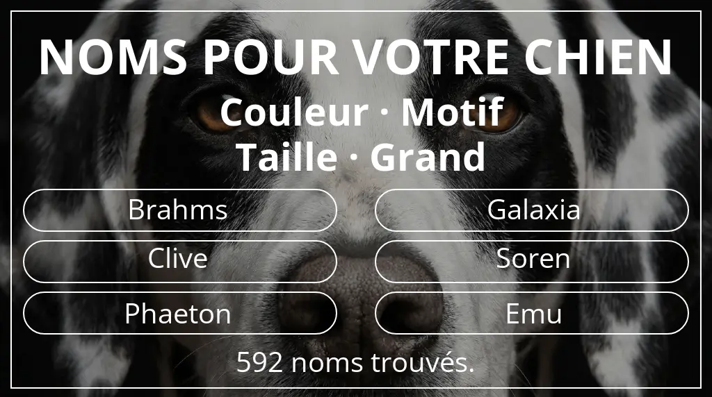 Noms de chiens basés sur couleur motif et taille grand