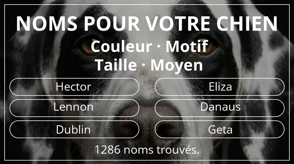 Noms de chiens inspirés de couleur motif et taille moyen