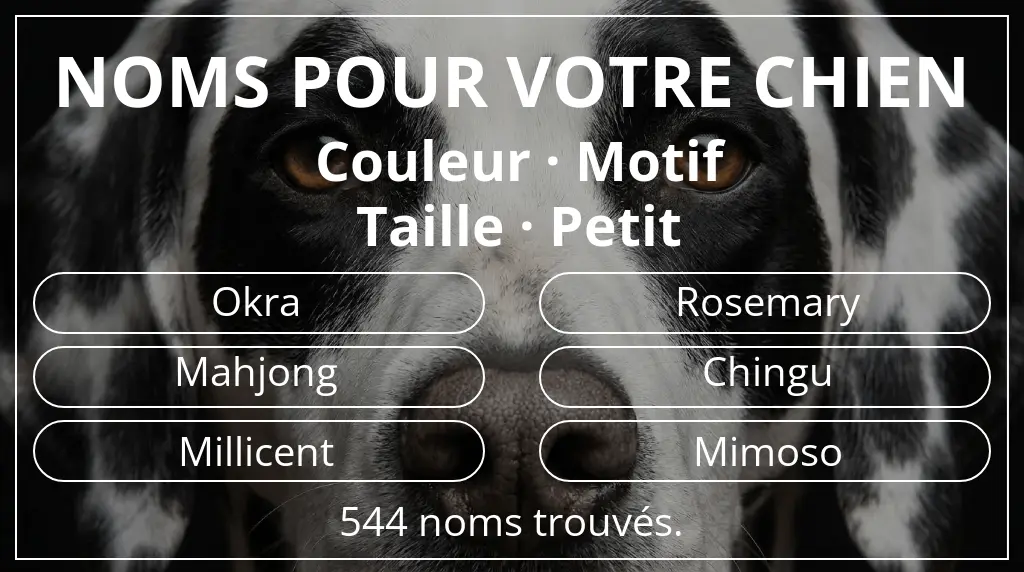 Noms pour chiens inspirés de couleur motif et taille petit