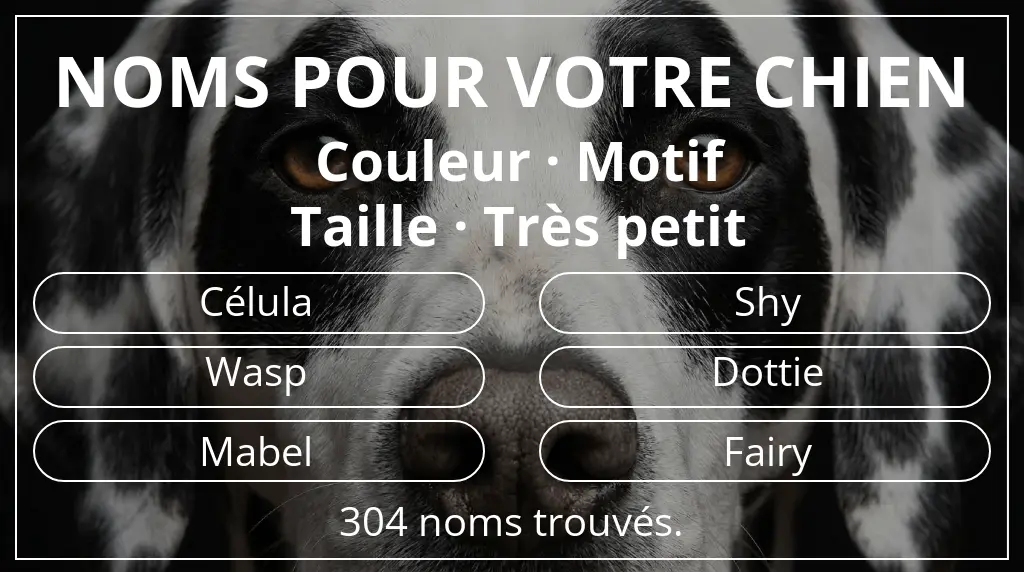 Noms de chiens basés sur couleur motif et taille très petit