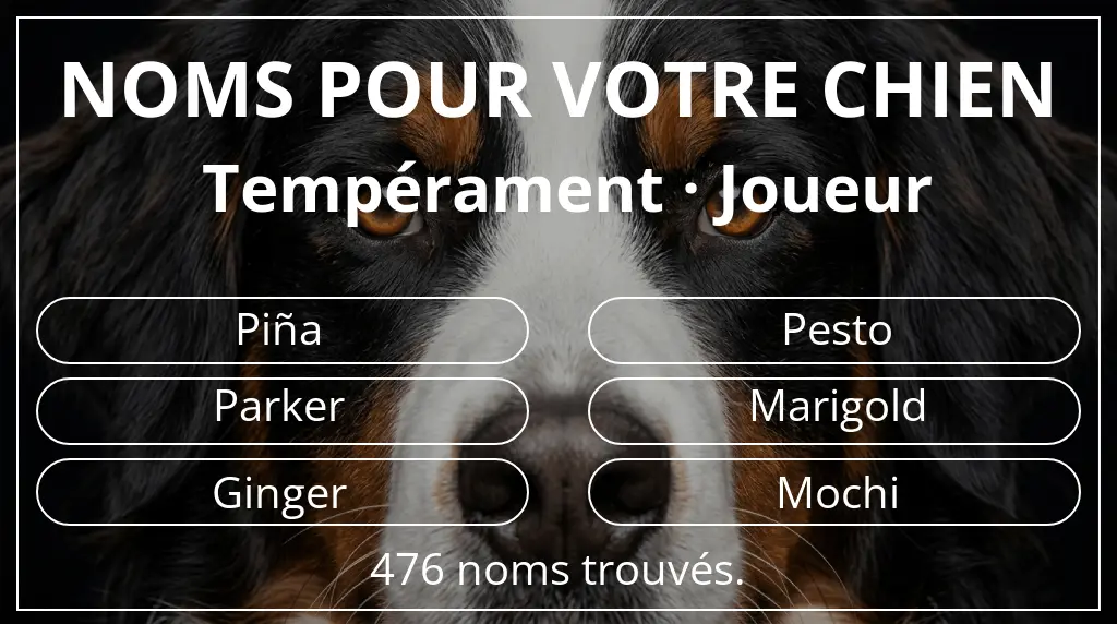 Noms pour chiens basés sur tempérament joueur