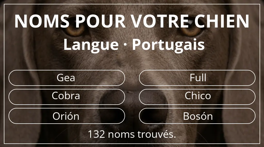 Noms pour chiens inspirés de langue portugais