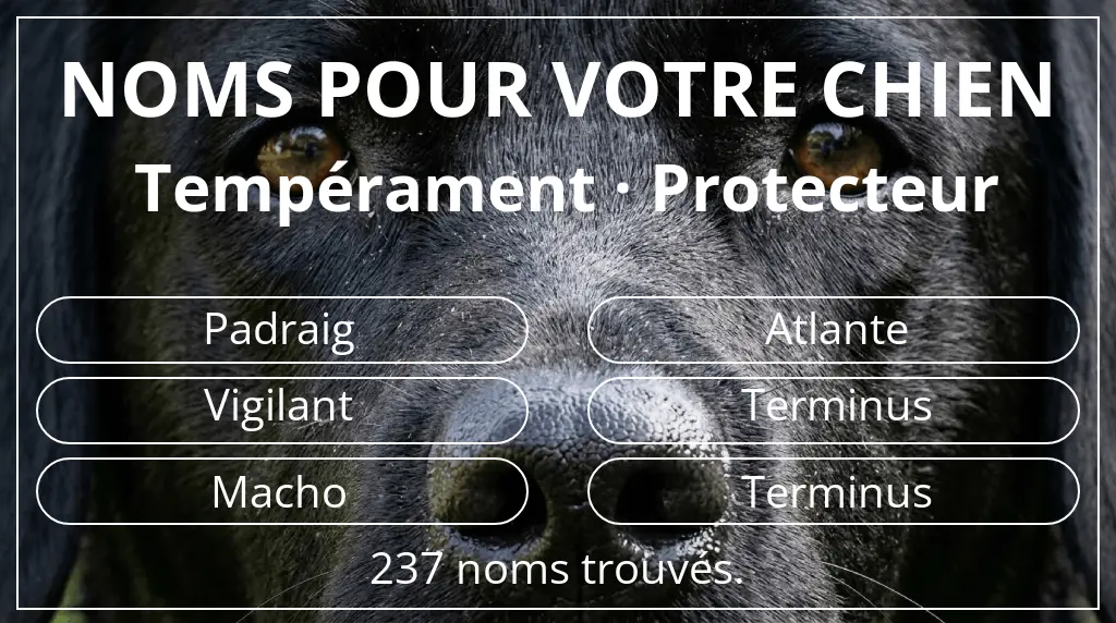 Noms de chiens basés sur tempérament protecteur