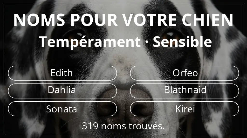 Noms pour chiens inspirés de tempérament sensible