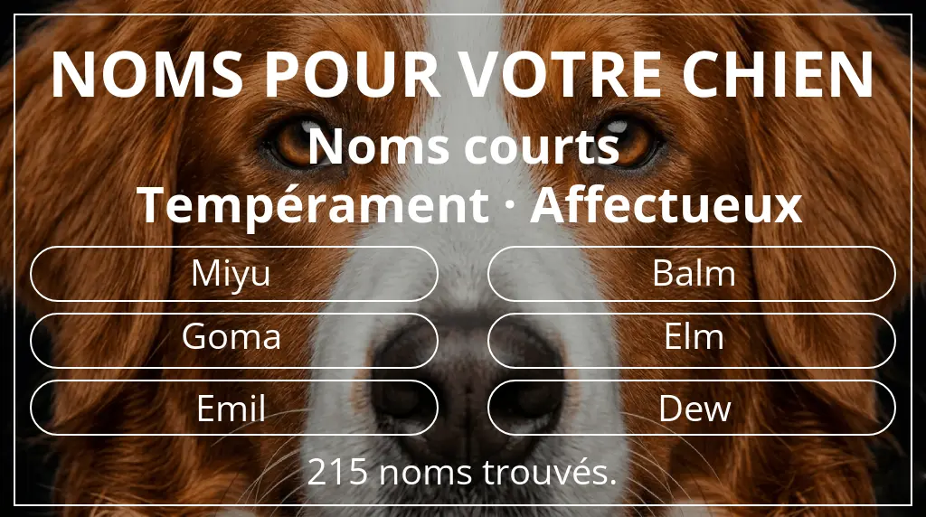 Noms pour chiens inspirés de longueur du nom court (2 à 4) et tempérament affectueux