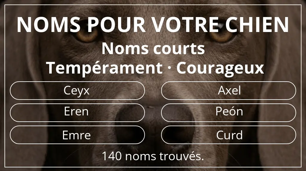 Noms de chiens inspirés de longueur du nom court (2 à 4) et tempérament courageux