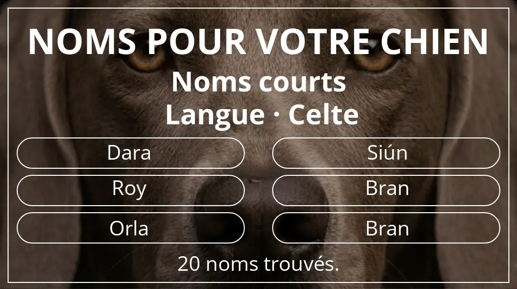 Noms pour chiens basés sur longueur du nom court (2 à 4) et langue celte