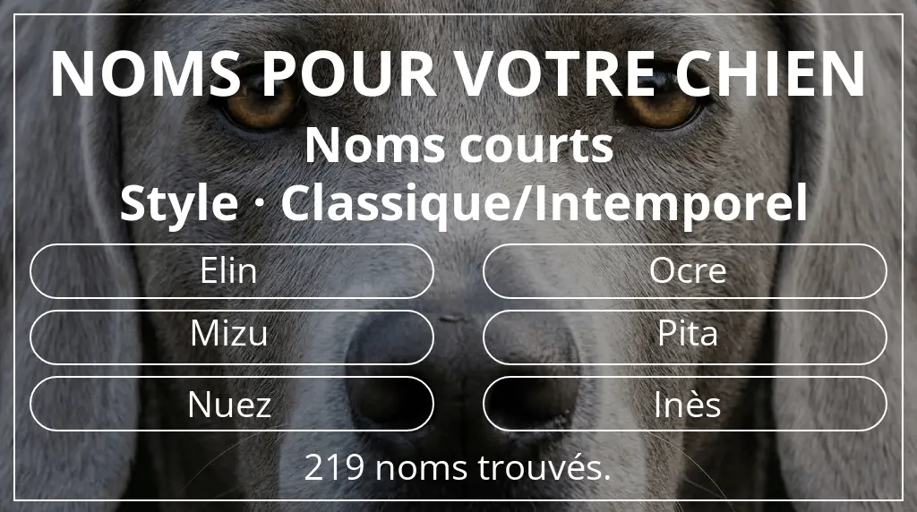 Noms pour chiens basés sur longueur du nom court (2 à 4) et style classique/intemporel