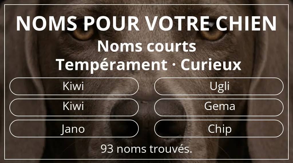 Noms de chiens inspirés de longueur du nom court (2 à 4) et tempérament curieux