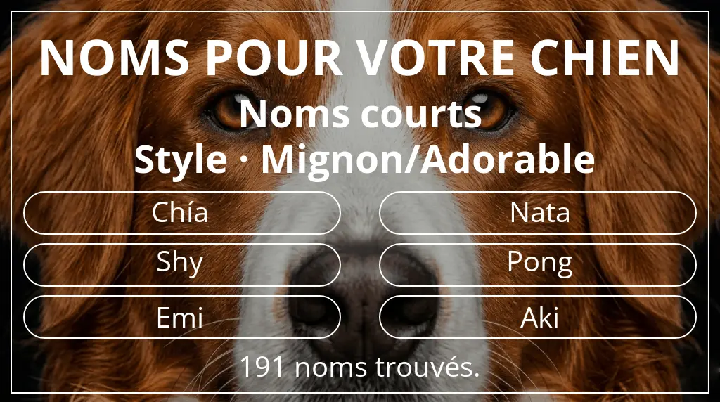 Noms pour chiens basés sur longueur du nom court (2 à 4) et style mignon/adorable