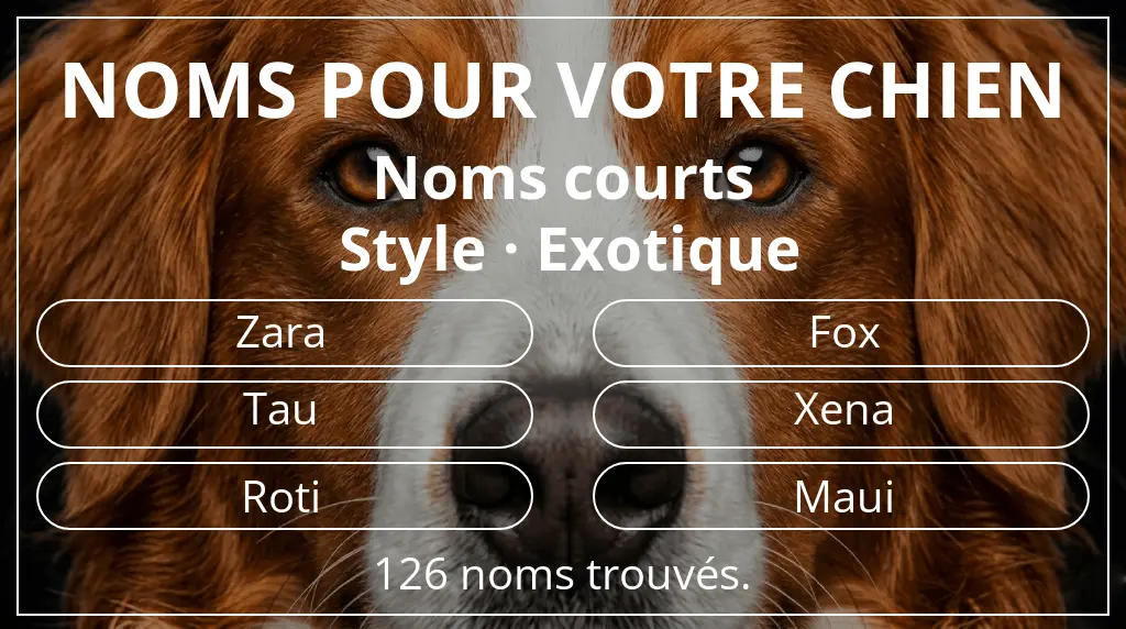 Noms pour chiens basés sur longueur du nom court (2 à 4) et style exotique