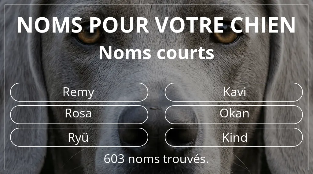 Noms pour chiens inspirés de longueur du nom court (2 à 4)