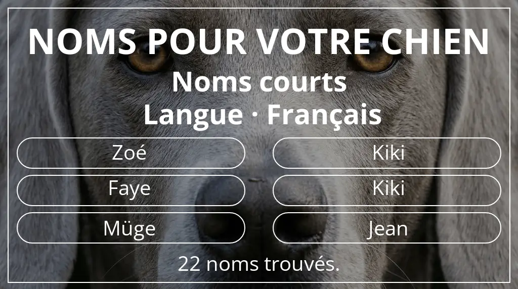 Noms de chiens basés sur longueur du nom court (2 à 4) et langue français