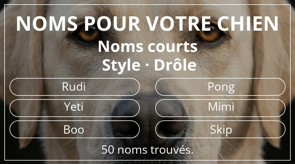 Noms de chiens inspirés de longueur du nom court (2 à 4) et style drôle
