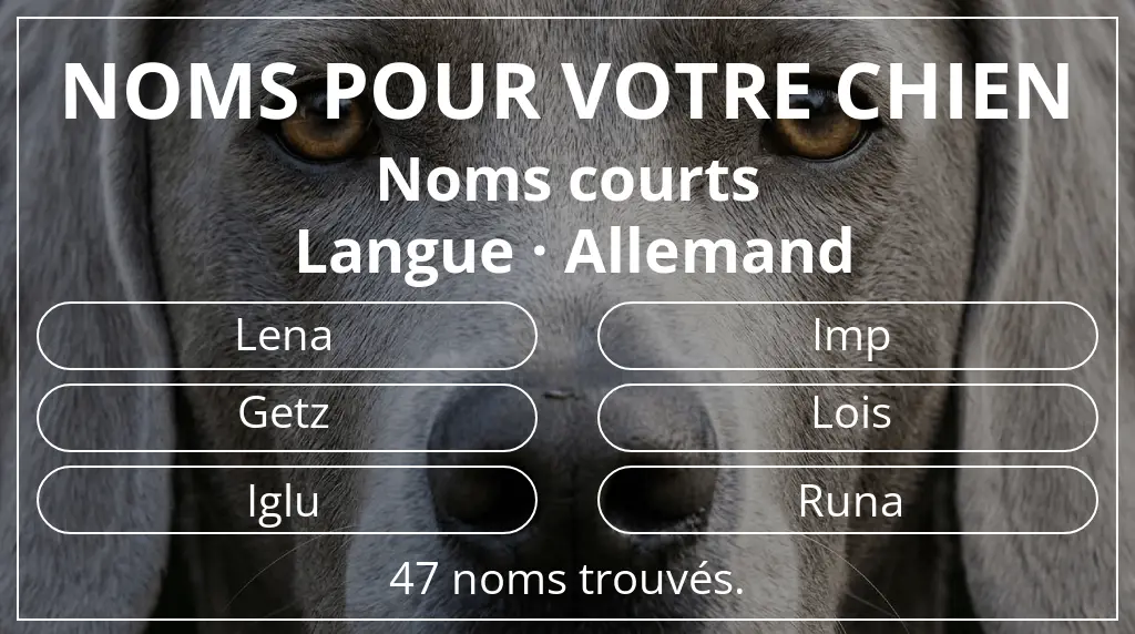 Noms de chiens basés sur longueur du nom court (2 à 4) et langue allemand