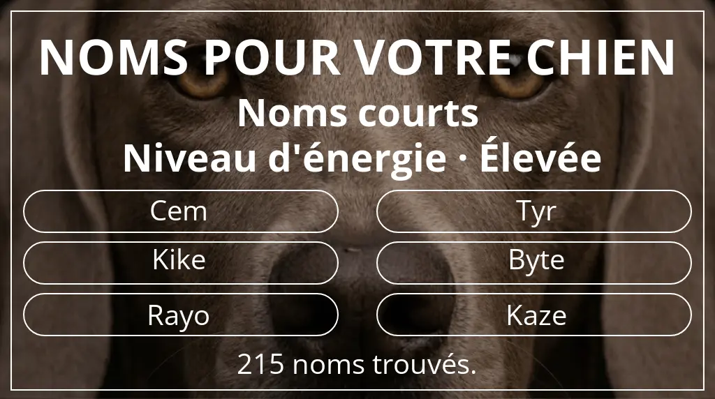 Noms de chiens basés sur longueur du nom court (2 à 4) et niveau d'énergie élevée