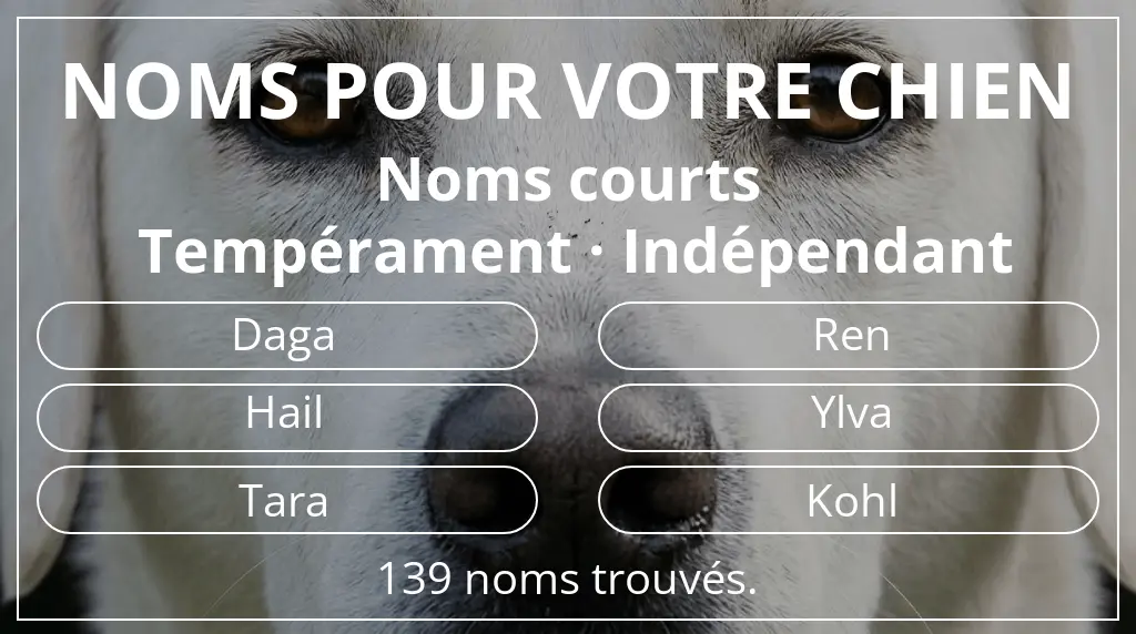 Noms de chiens inspirés de longueur du nom court (2 à 4) et tempérament indépendant