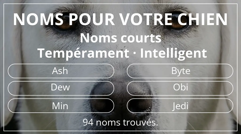 Noms de chiens inspirés de longueur du nom court (2 à 4) et tempérament intelligent