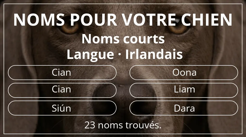 Noms pour chiens inspirés de longueur du nom court (2 à 4) et langue irlandais
