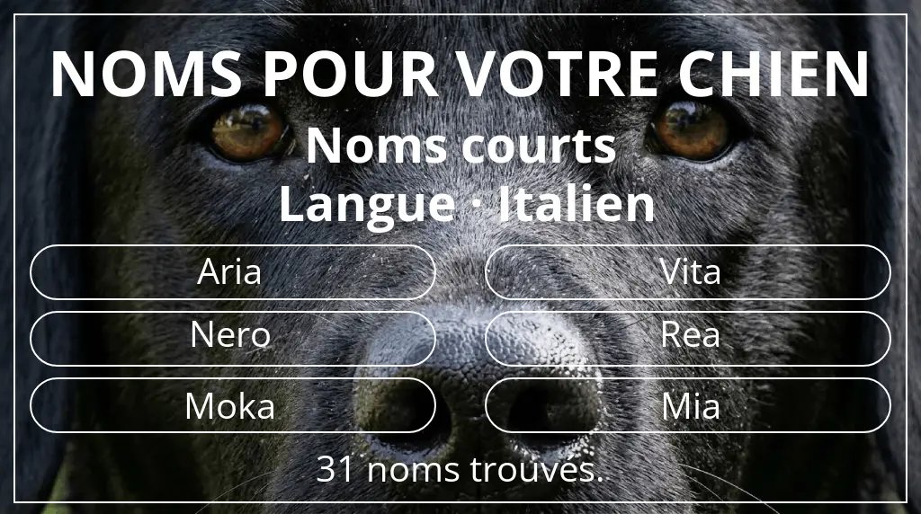 Noms de chiens inspirés de longueur du nom court (2 à 4) et langue italien