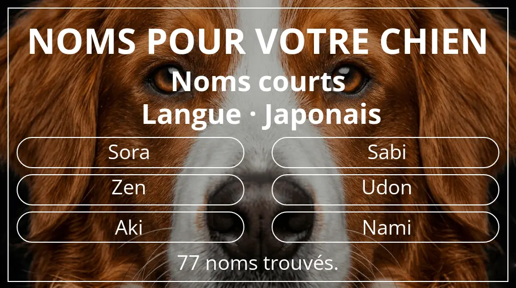 Noms pour chiens inspirés de longueur du nom court (2 à 4) et langue japonais