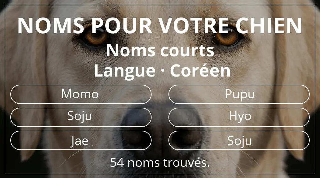 Noms pour chiens inspirés de longueur du nom court (2 à 4) et langue coréen