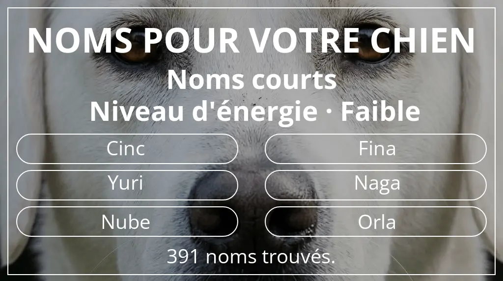 Noms pour chiens basés sur longueur du nom court (2 à 4) et niveau d'énergie faible