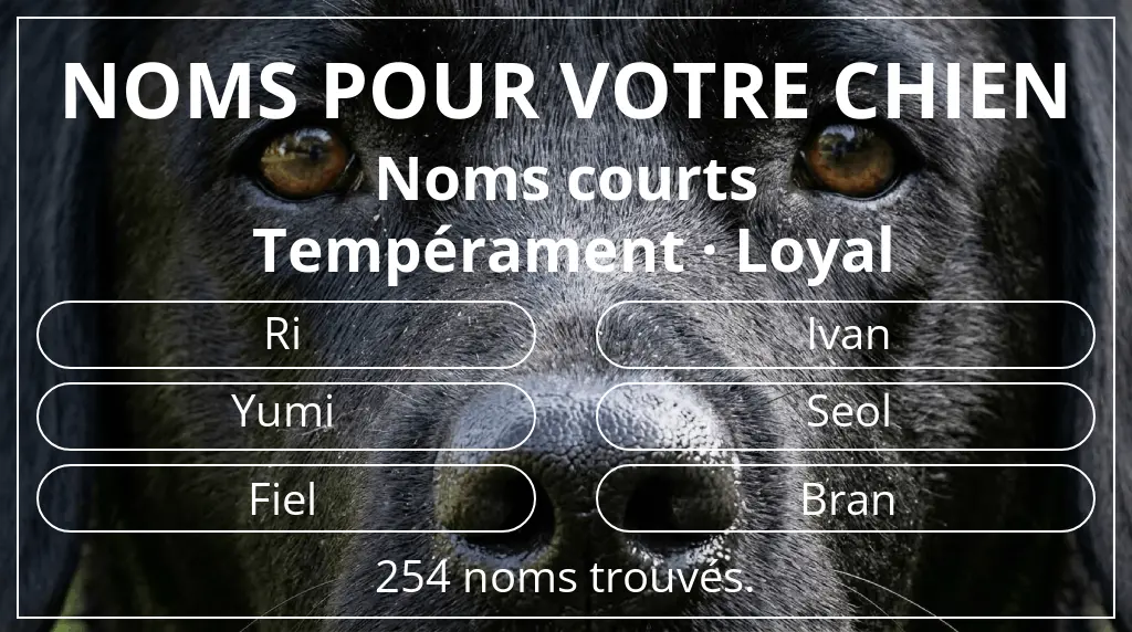 Noms de chiens inspirés de longueur du nom court (2 à 4) et tempérament loyal