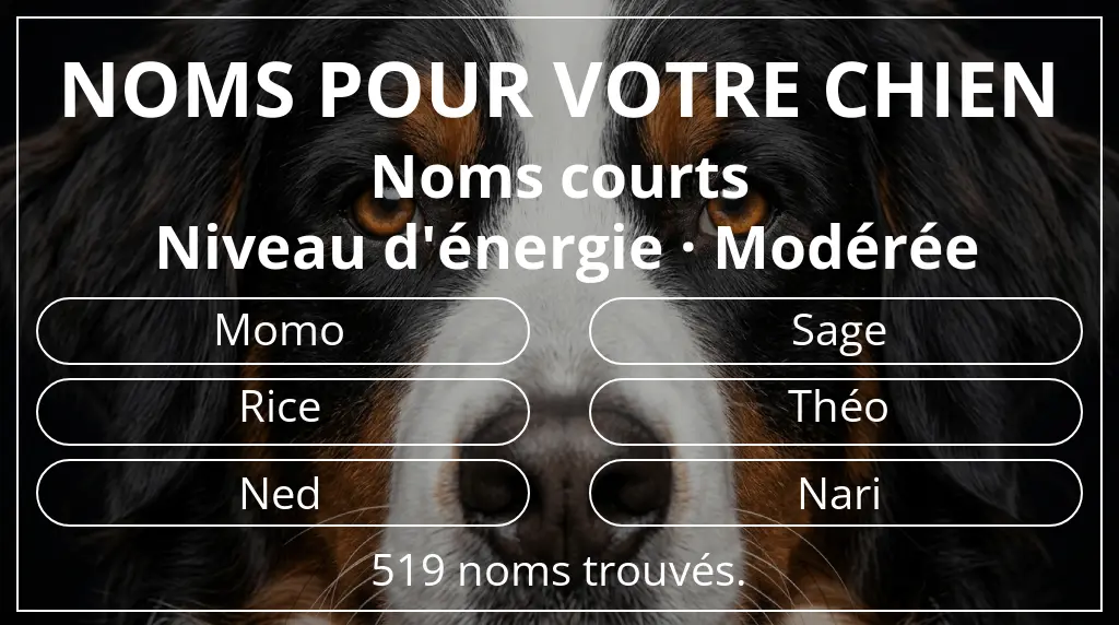 Noms de chiens inspirés de longueur du nom court (2 à 4) et niveau d'énergie modérée