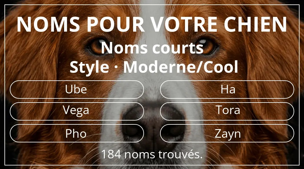 Noms de chiens basés sur longueur du nom court (2 à 4) et style moderne/cool