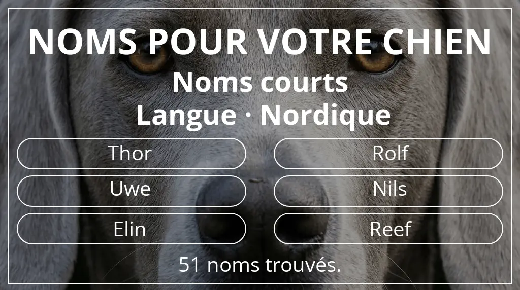 Noms pour chiens basés sur longueur du nom court (2 à 4) et langue nordique