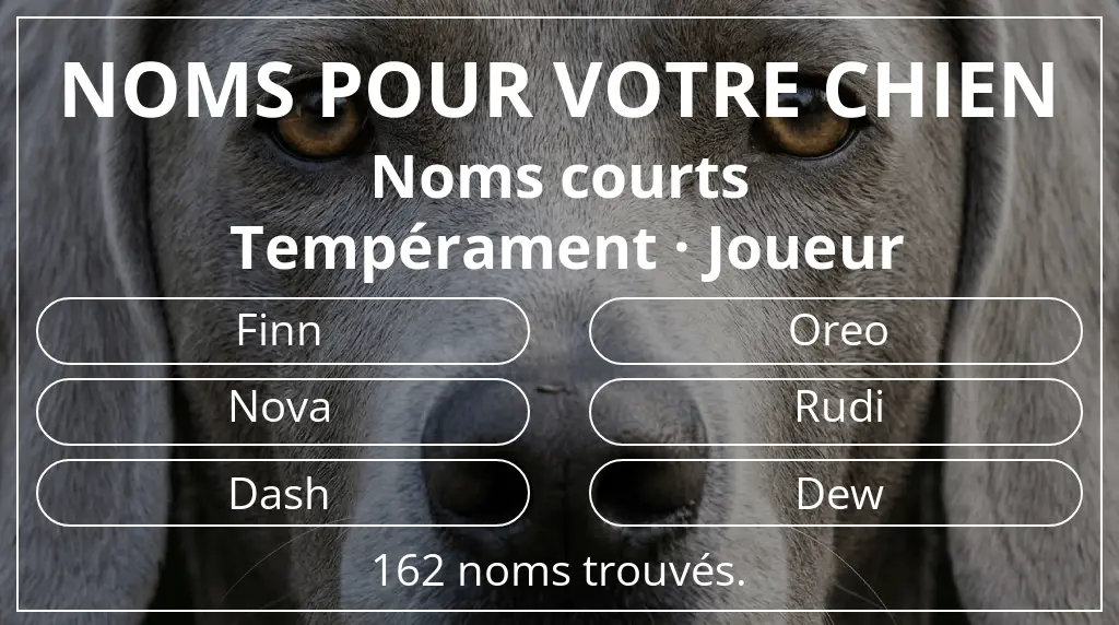 Noms pour chiens basés sur longueur du nom court (2 à 4) et tempérament joueur