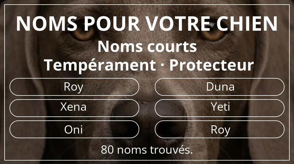 Noms pour chiens basés sur longueur du nom court (2 à 4) et tempérament protecteur