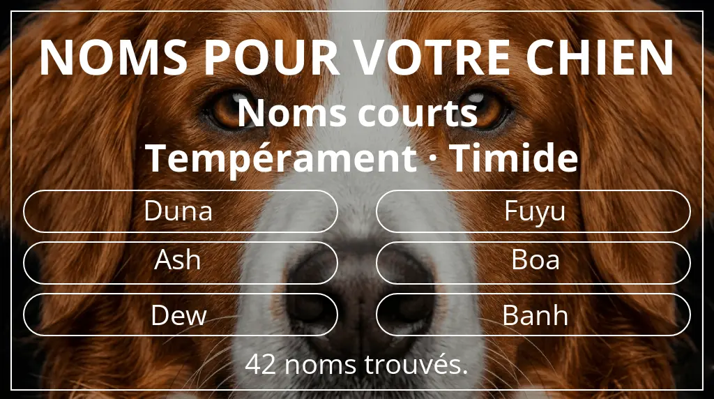 Noms de chiens inspirés de longueur du nom court (2 à 4) et tempérament timide