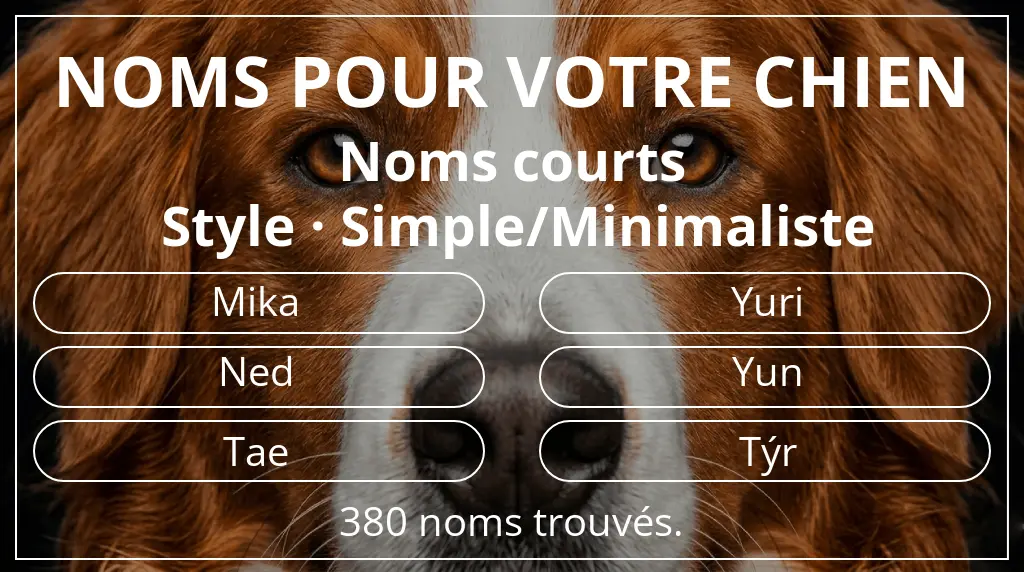 Noms de chiens inspirés de longueur du nom court (2 à 4) et style simple/minimaliste