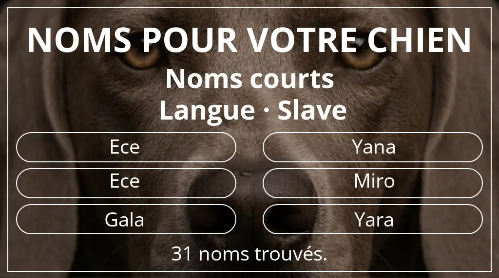 Noms pour chiens inspirés de longueur du nom court (2 à 4) et langue slave