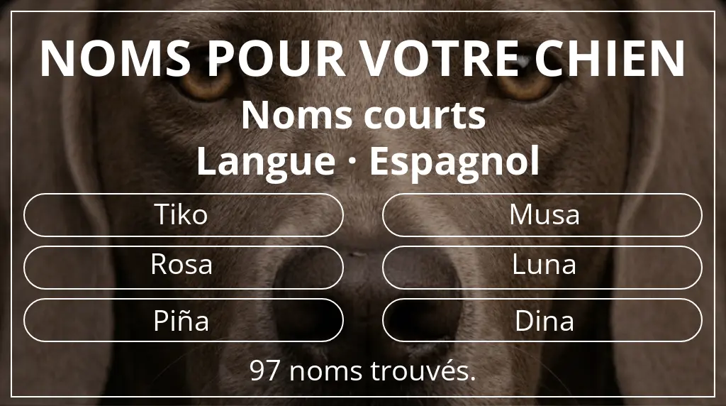 Noms de chiens basés sur longueur du nom court (2 à 4) et langue espagnol