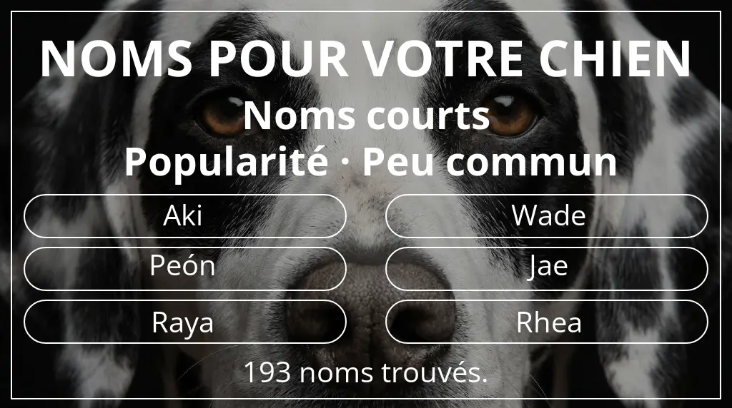 Noms pour chiens basés sur longueur du nom court (2 à 4) et popularité peu commun