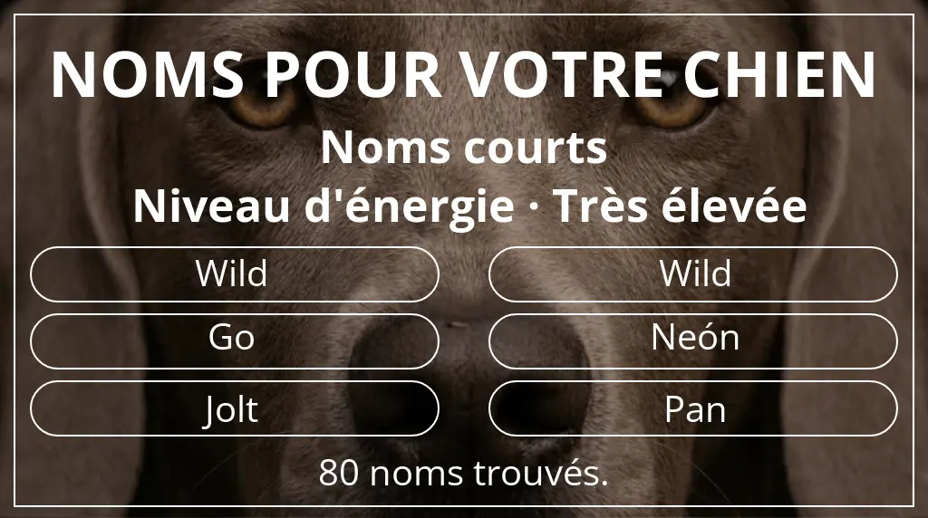 Noms de chiens basés sur longueur du nom court (2 à 4) et niveau d'énergie très élevée