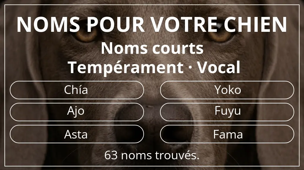 Noms de chiens inspirés de longueur du nom court (2 à 4) et tempérament vocal