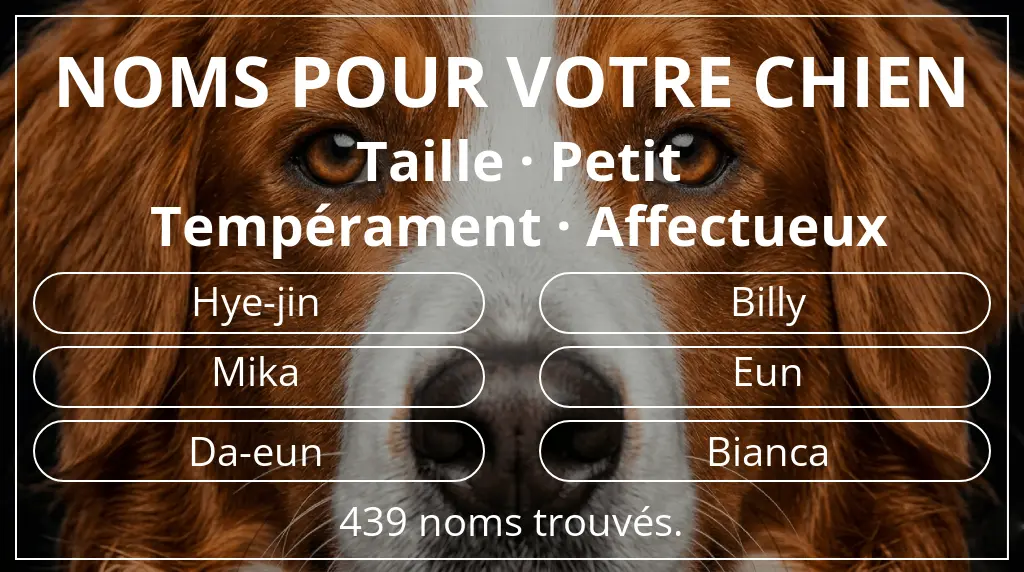 Noms de chiens basés sur taille petit et tempérament affectueux
