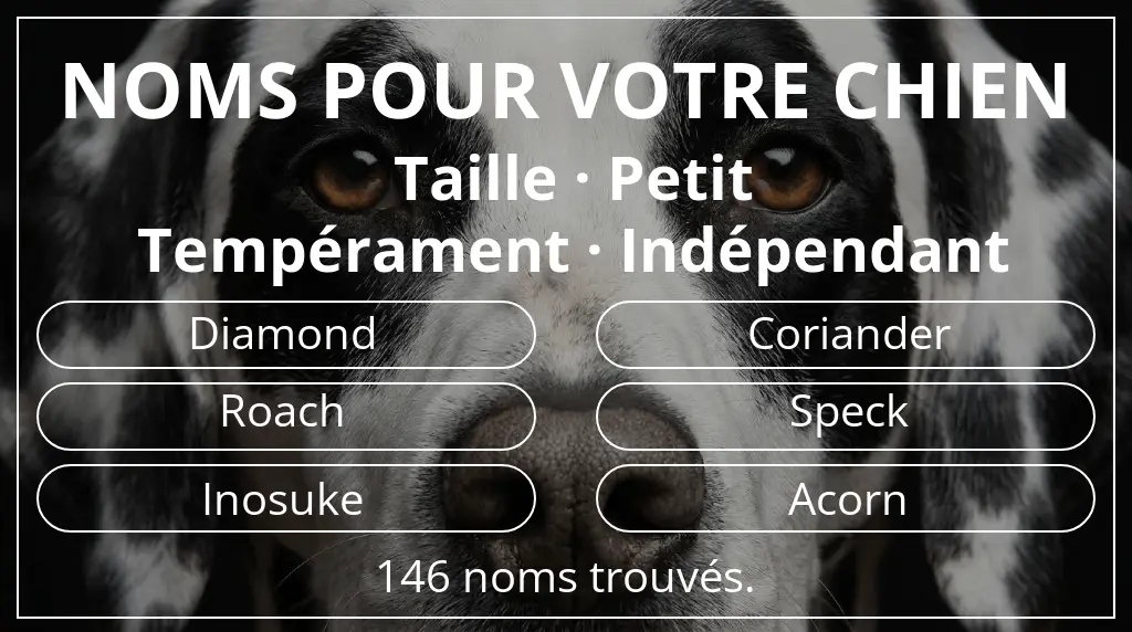 Noms pour chiens basés sur taille petit et tempérament indépendant