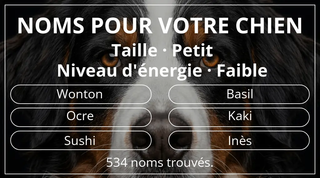 Noms de chiens basés sur taille petit et niveau d'énergie faible