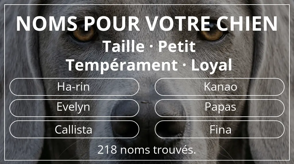 Noms pour chiens inspirés de taille petit et tempérament loyal