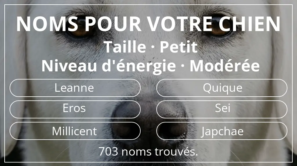 Noms pour chiens inspirés de taille petit et niveau d'énergie modérée